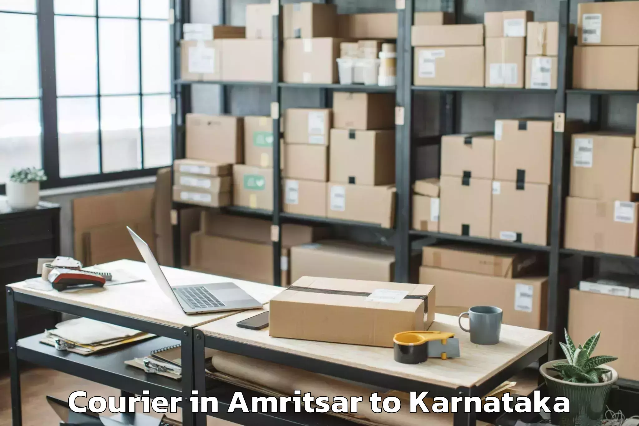 Trusted Amritsar to Holalkere Courier